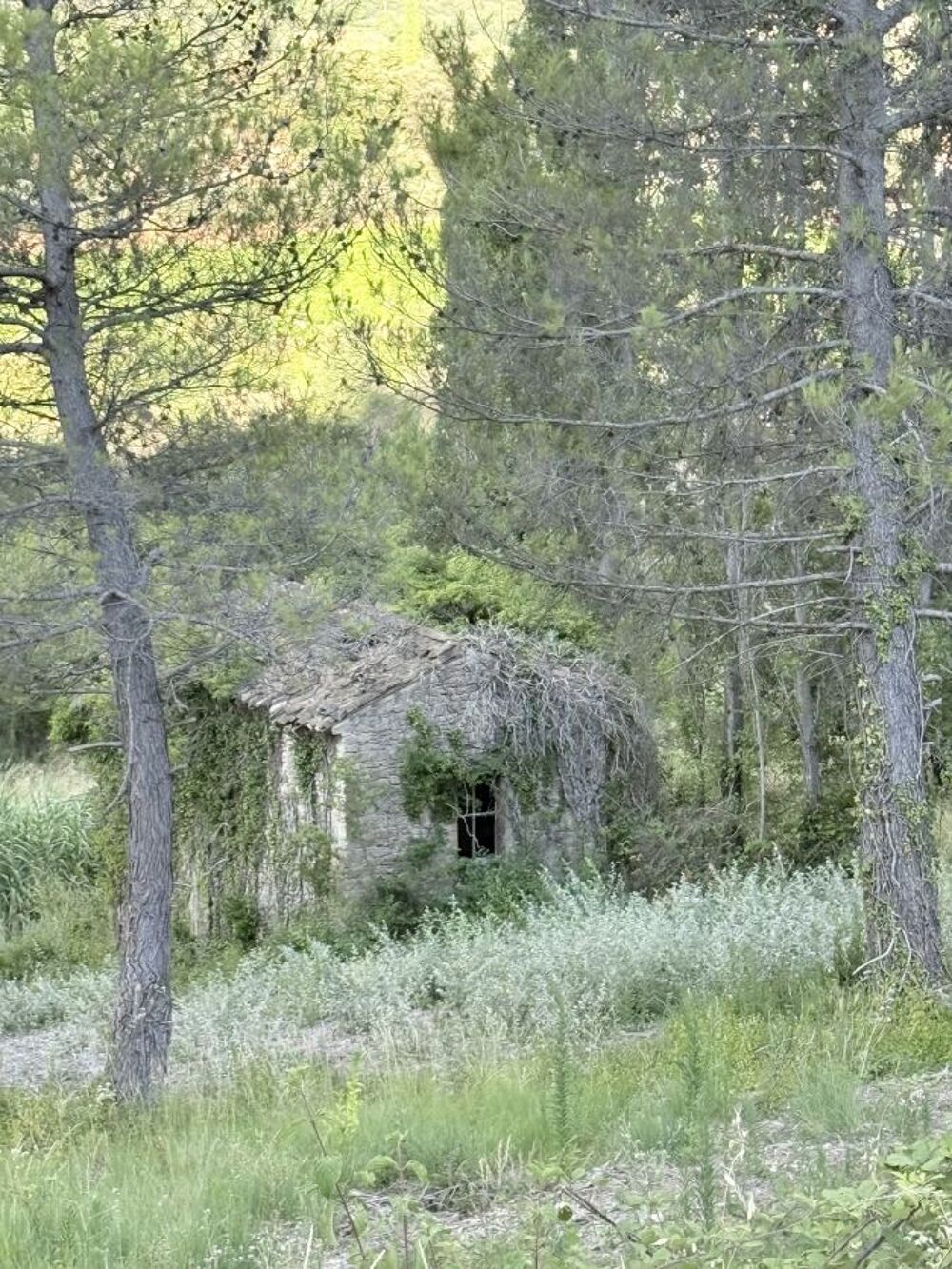 Vente Terrain Terrain avec maison de 60m2 Crestet