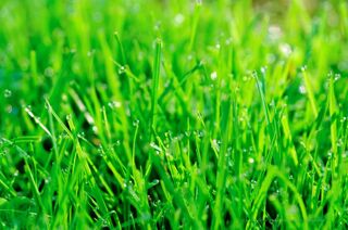  Terrain � vendre 1 pi�ce 347 m�