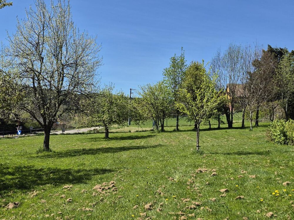 Vente Terrain Terrain Colroy la roche