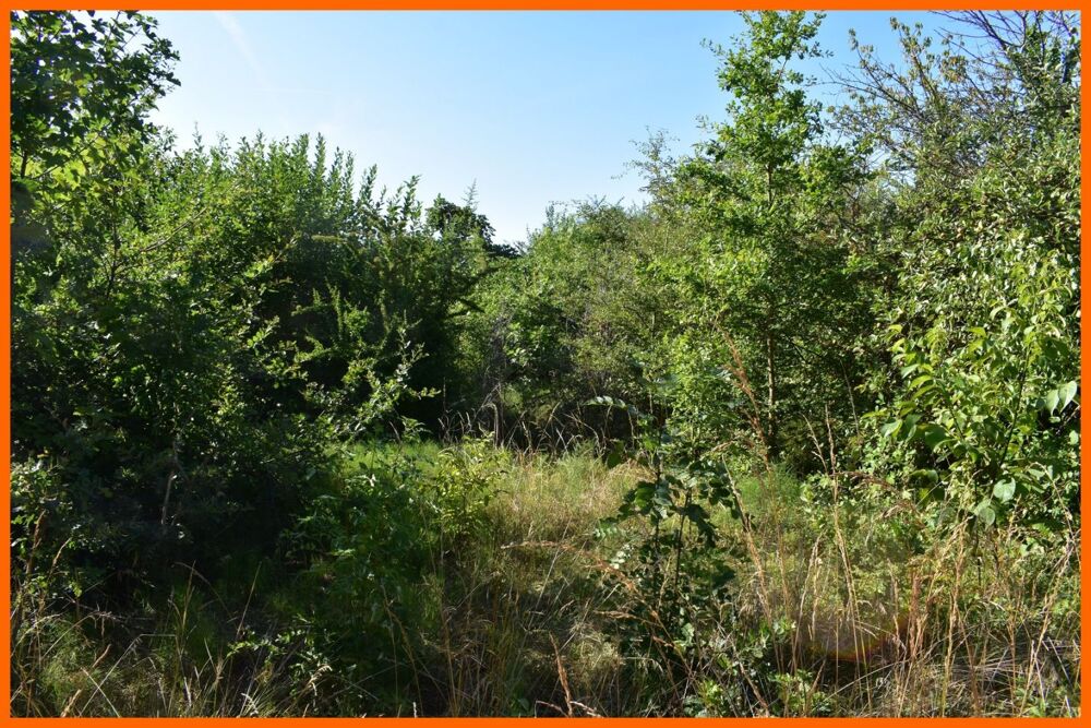 Vente Terrain Terrain Montluel