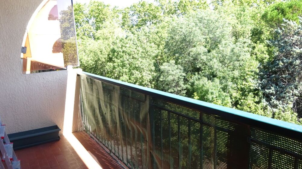 Location Appartement Studio Montpellier