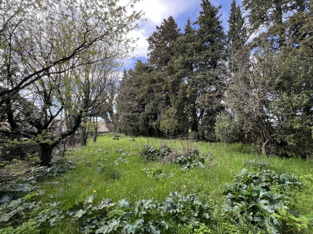 Vente Terrain Terrain constructible Connaux