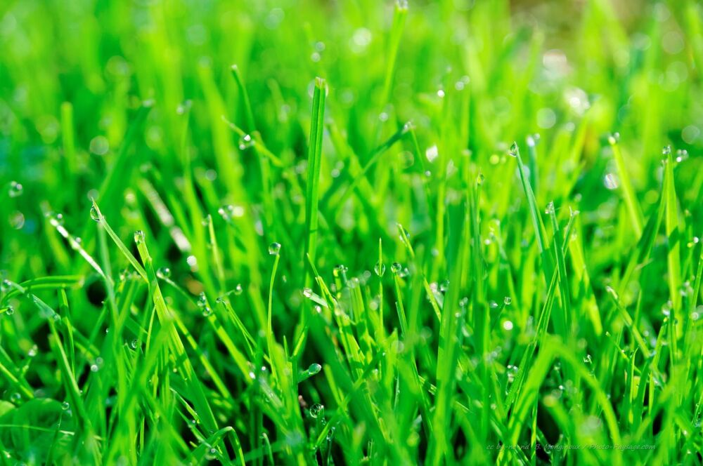 Vente Terrain Terrain constructible Septeme