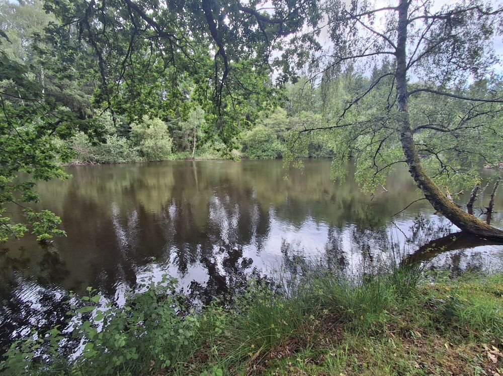 Vente Terrain Terrain non-constructible Rilhac lastours