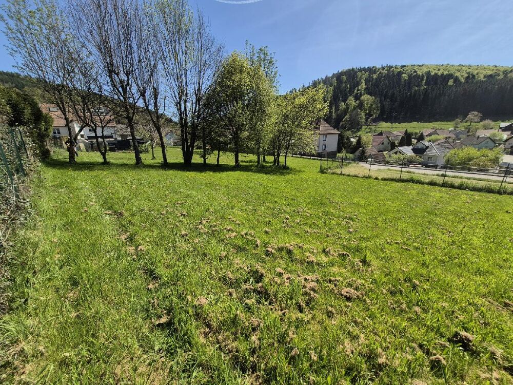 Vente Terrain Terrain Colroy la roche