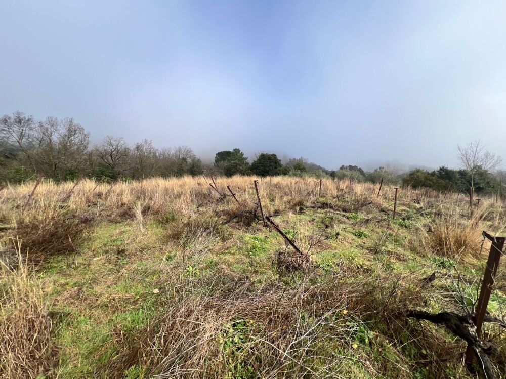 Vente Terrain Terrain non-constructible Mons