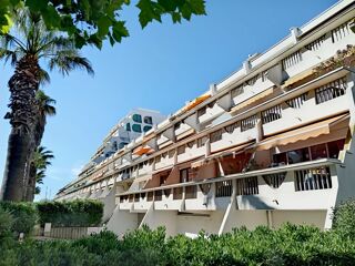  Appartement � vendre 1 pi�ce 25 m�