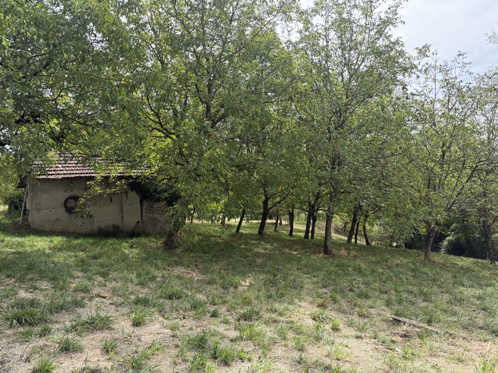 Vente Maison Maison 90m² hab sur 11500m² de terrain Gresin