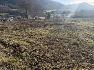  Terrain à vendre 1 pièce 980 m²