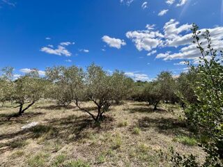  Terrain � vendre 1 pi�ce 