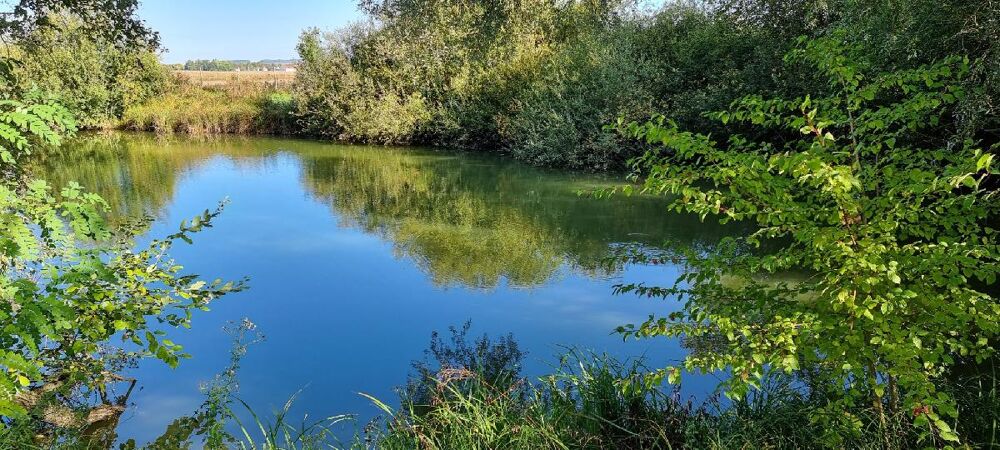 Vente Terrain Terrain Cuy