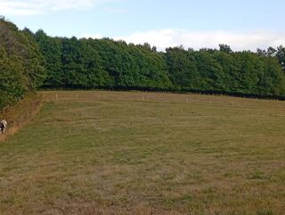  Terrain � vendre 1 pi�ce 151596 m�