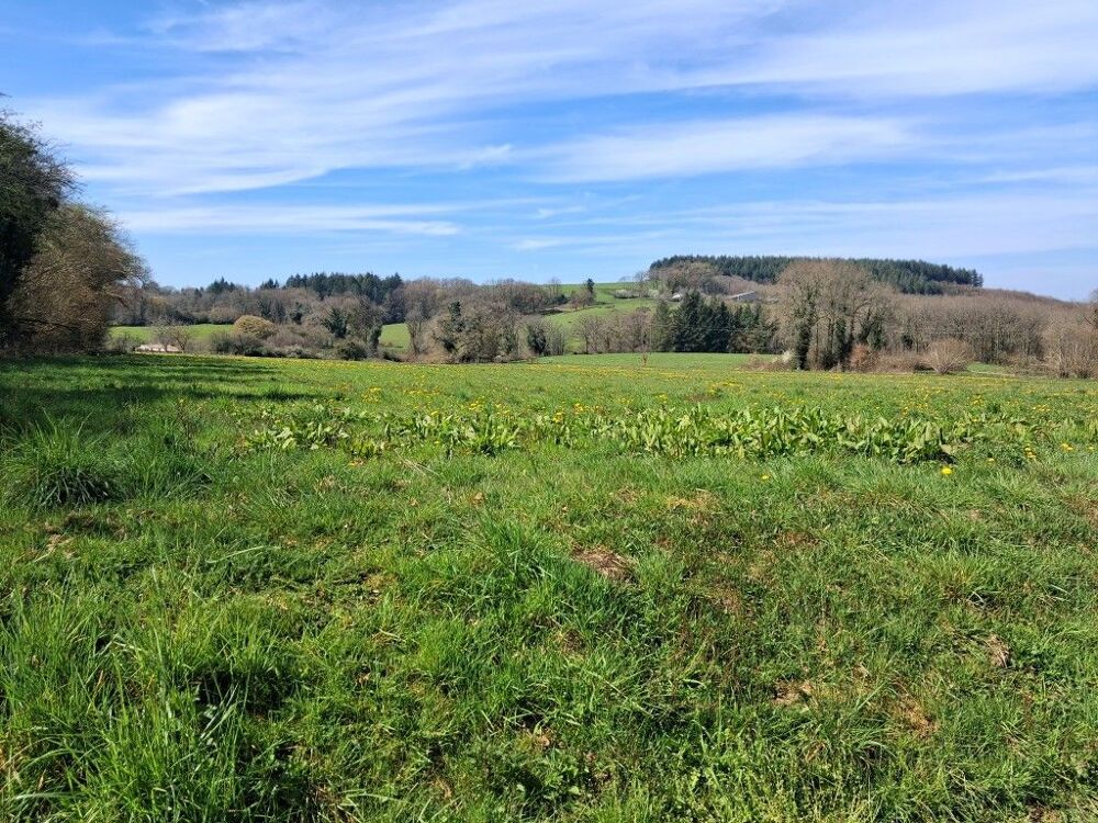 Vente Terrain Terrain Neuvic entier
