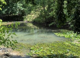  Maison  vendre 10 pices 134 m