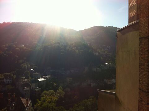   3 Pi�ces Centre-ville Appartement - 3 pi�ce(s) - 49 m�