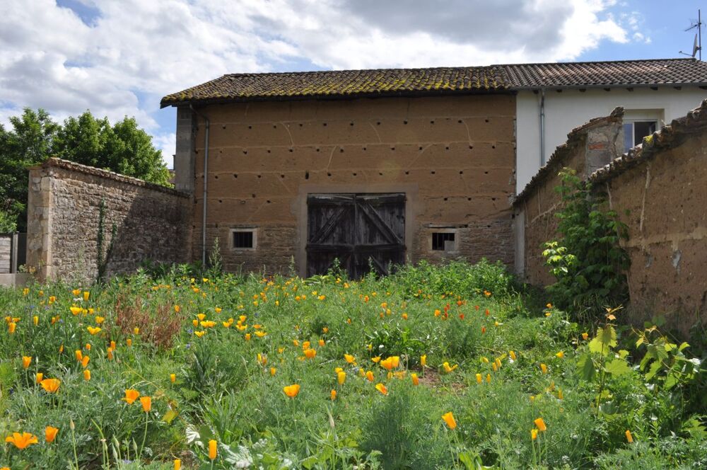 Vente Maison Maison Grange à aménager Montmerle sur saone