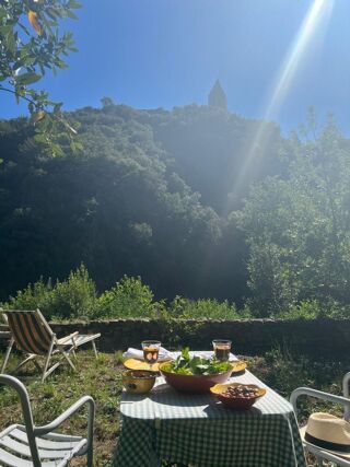  Maison � vendre 15 + pi�ces 600 m�