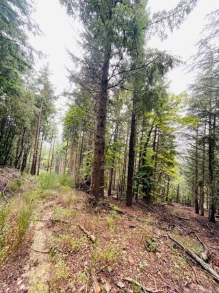  Terrain � vendre 1 pi�ce 16280 m�