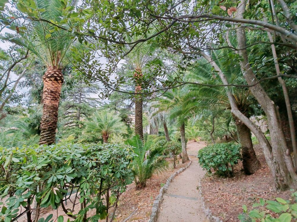  vendre  Appartement Cannes (06400)