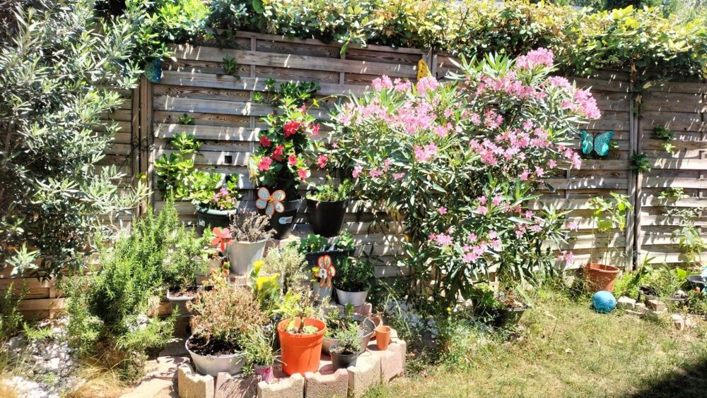 Location Appartement 3 Pièces Rez-de-jardin Marseille 14