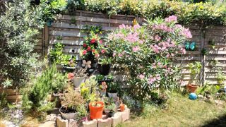  Appartement à louer 3 pièces 64 m²