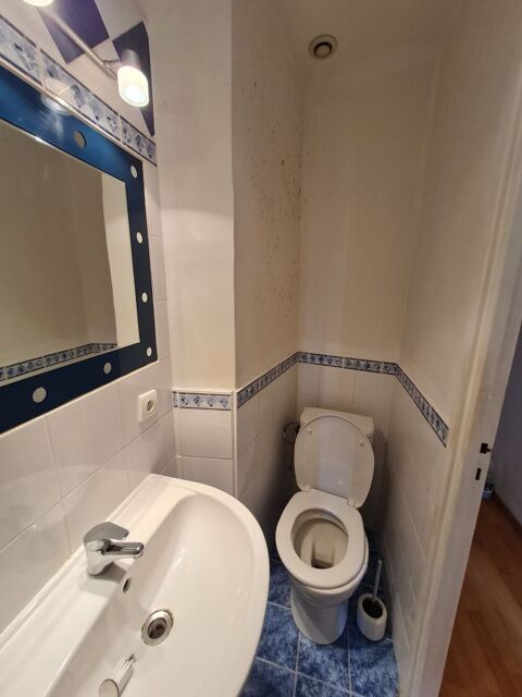  Appartement � louer 1 pi�ce 28 m�