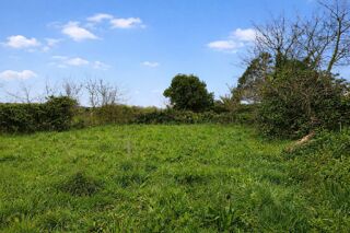  Terrain à vendre 1 pièce 725 m²