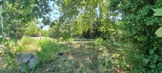  Terrain � vendre 1 pi�ce 1166 m�