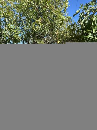  Maison � vendre 1 pi�ce 150 m�