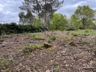  Terrain � vendre 1 pi�ce 585 m�