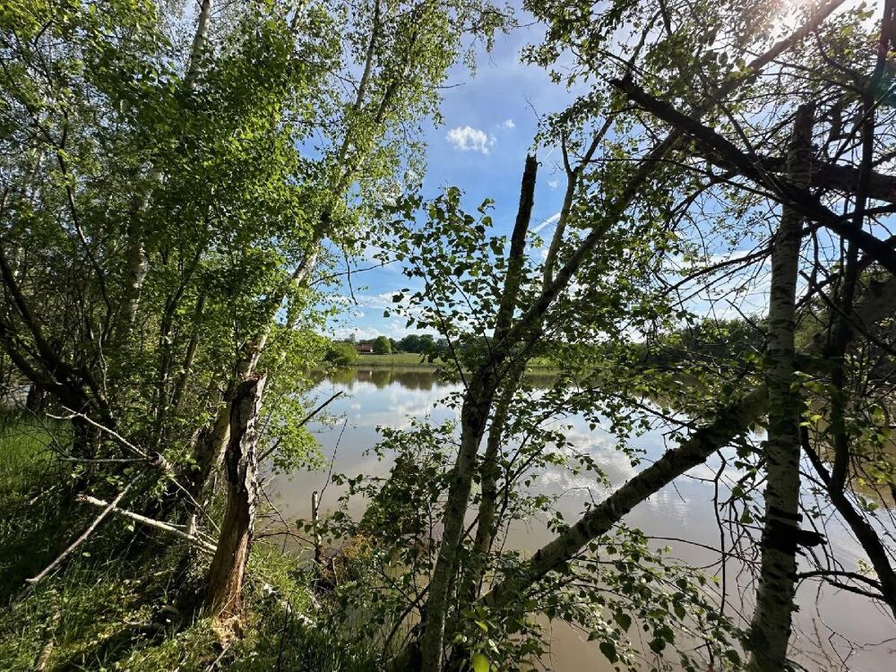  vendre  Maison Villemurlin (45600)