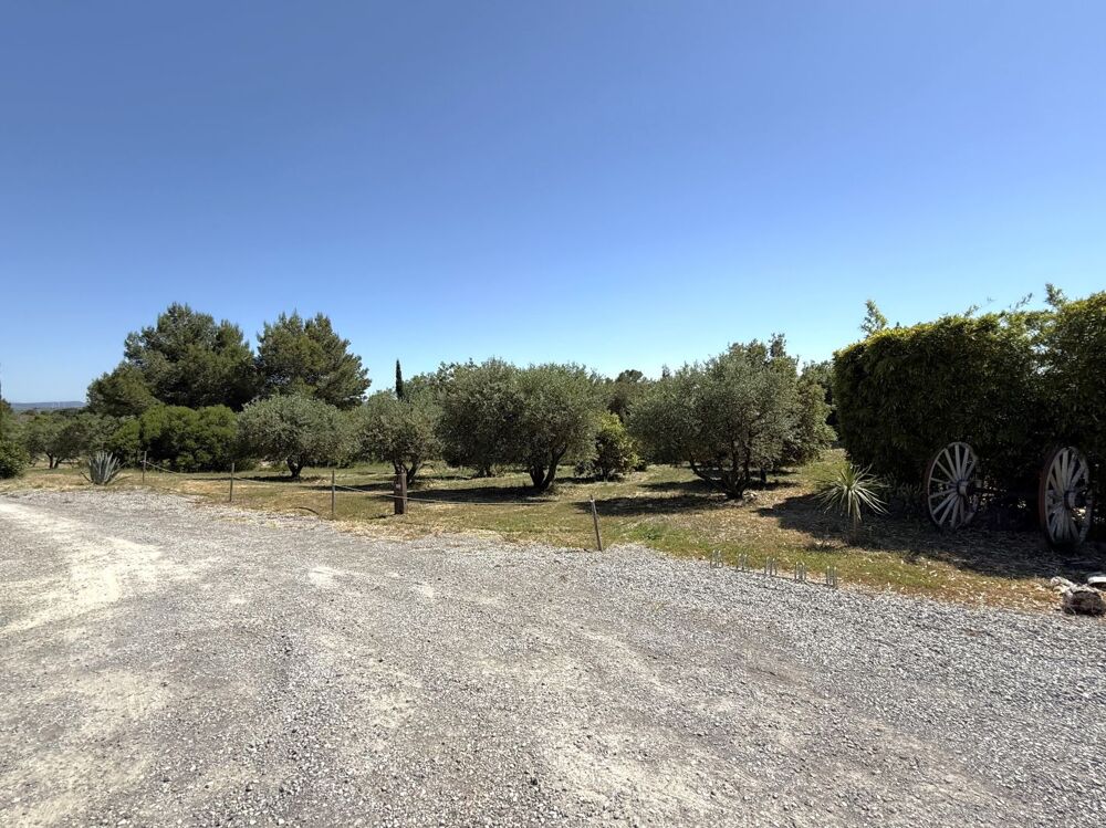 Vente Maison Maison Argeliers