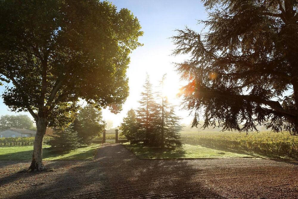  vendre  Maison Moulis-en-Mdoc (33480)