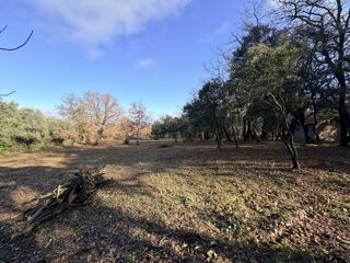  Terrain � vendre 1 pi�ce 3205 m�