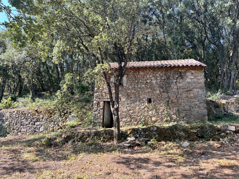 Vente Terrain Terrain non-constructible avec remise Olargues