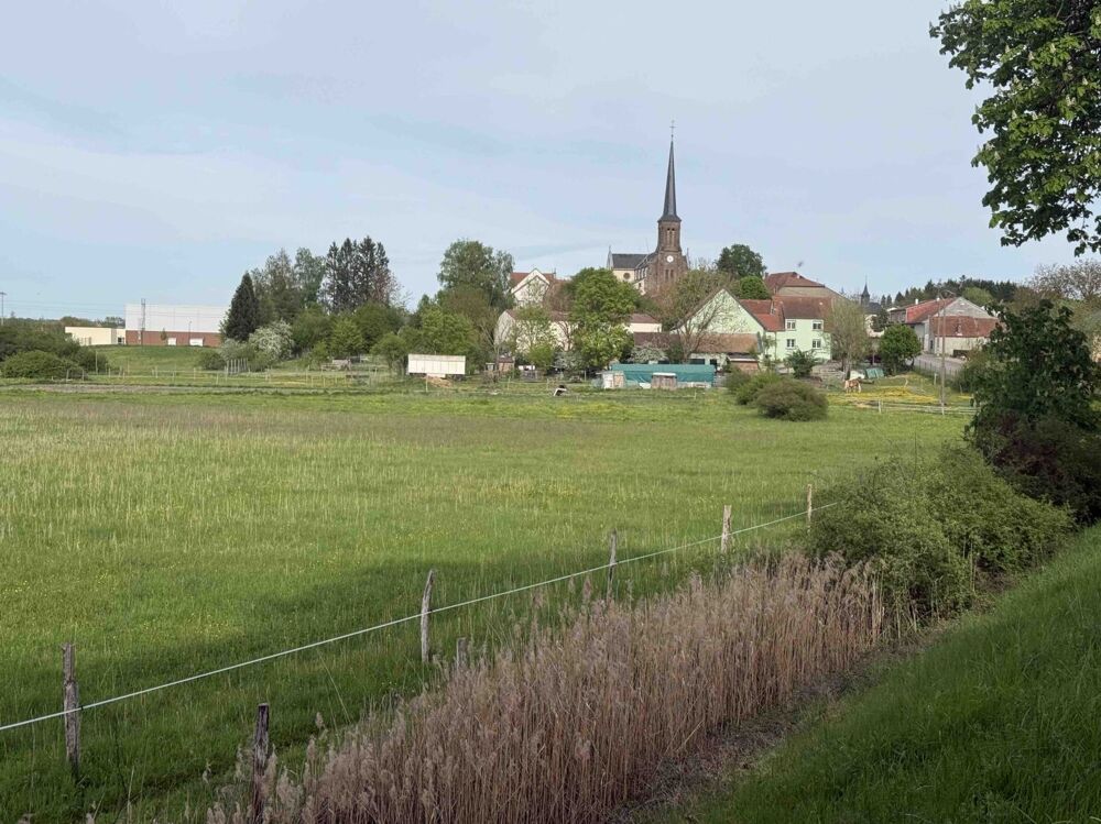 Maison 10 pièces 249 m² · à Holving · 249 m² · 580 000 €