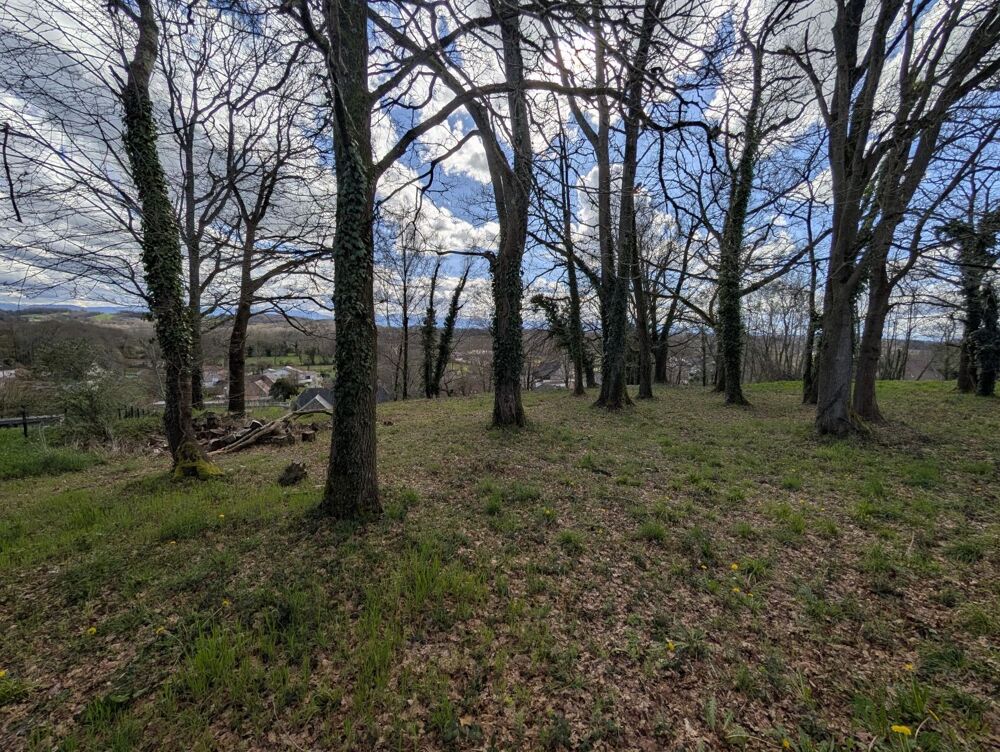 Vente Terrain Terrain Haut de Lee Lee