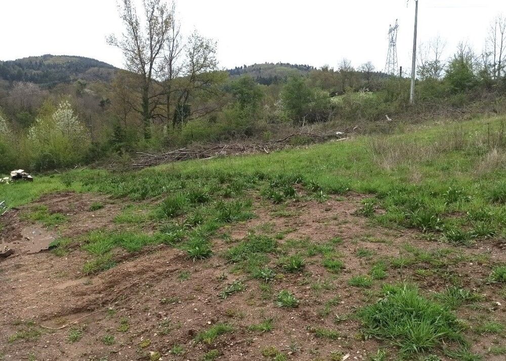 Vente Terrain Terrain à bâtir Le chambon feugerolles