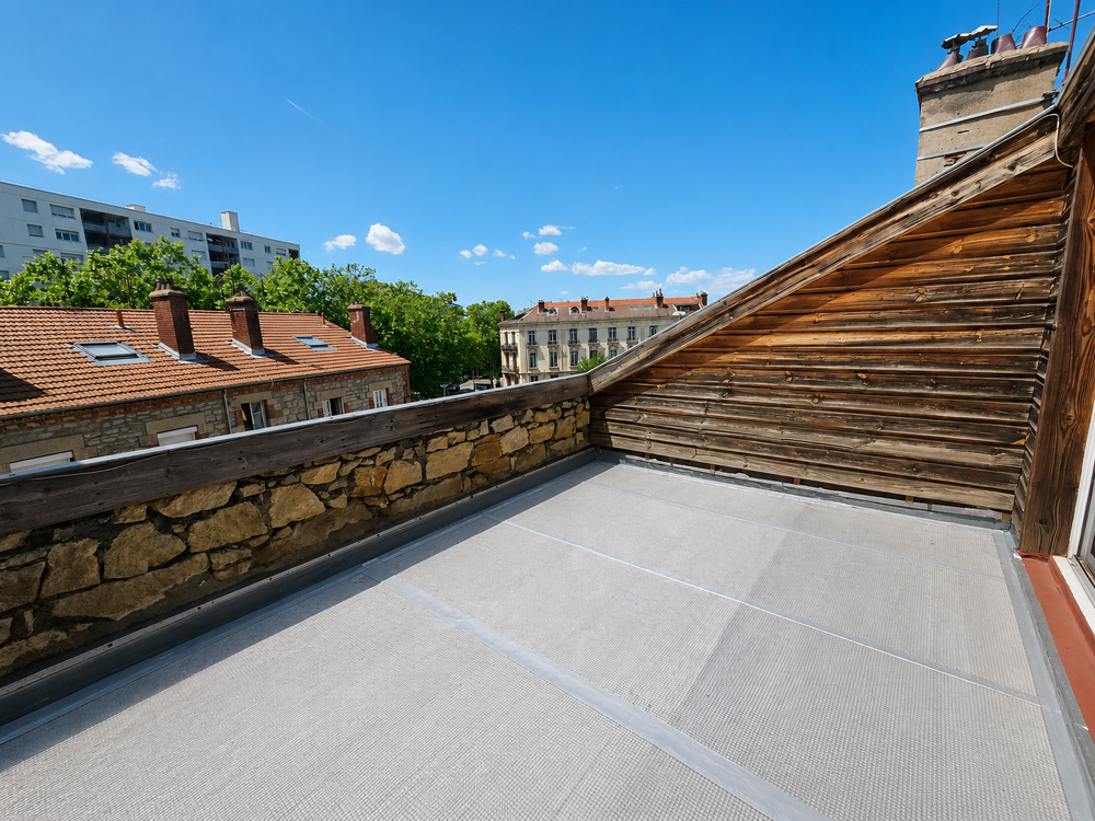 Appartement de type f3 de caractere 71,01 m2 carrez (109,91 m2 au sol) + terrasse - prox. chateaucreux - ideal