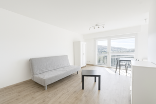  Appartement � louer 1 pi�ce 27 m�
