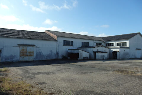 A VENDRE ENTREP&Ouml;T ET MAISON A MARMANDE 263750 47200 Marmande