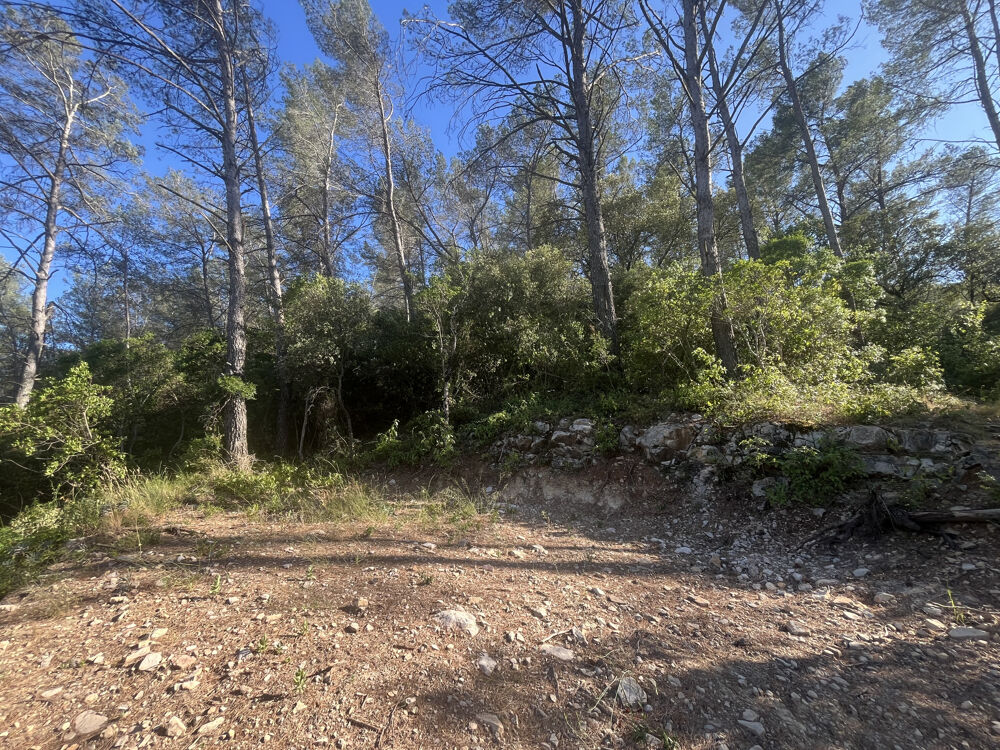 Vente Terrain Terrain à bâtir de 1540 m2 avec permis accepté Belgentier