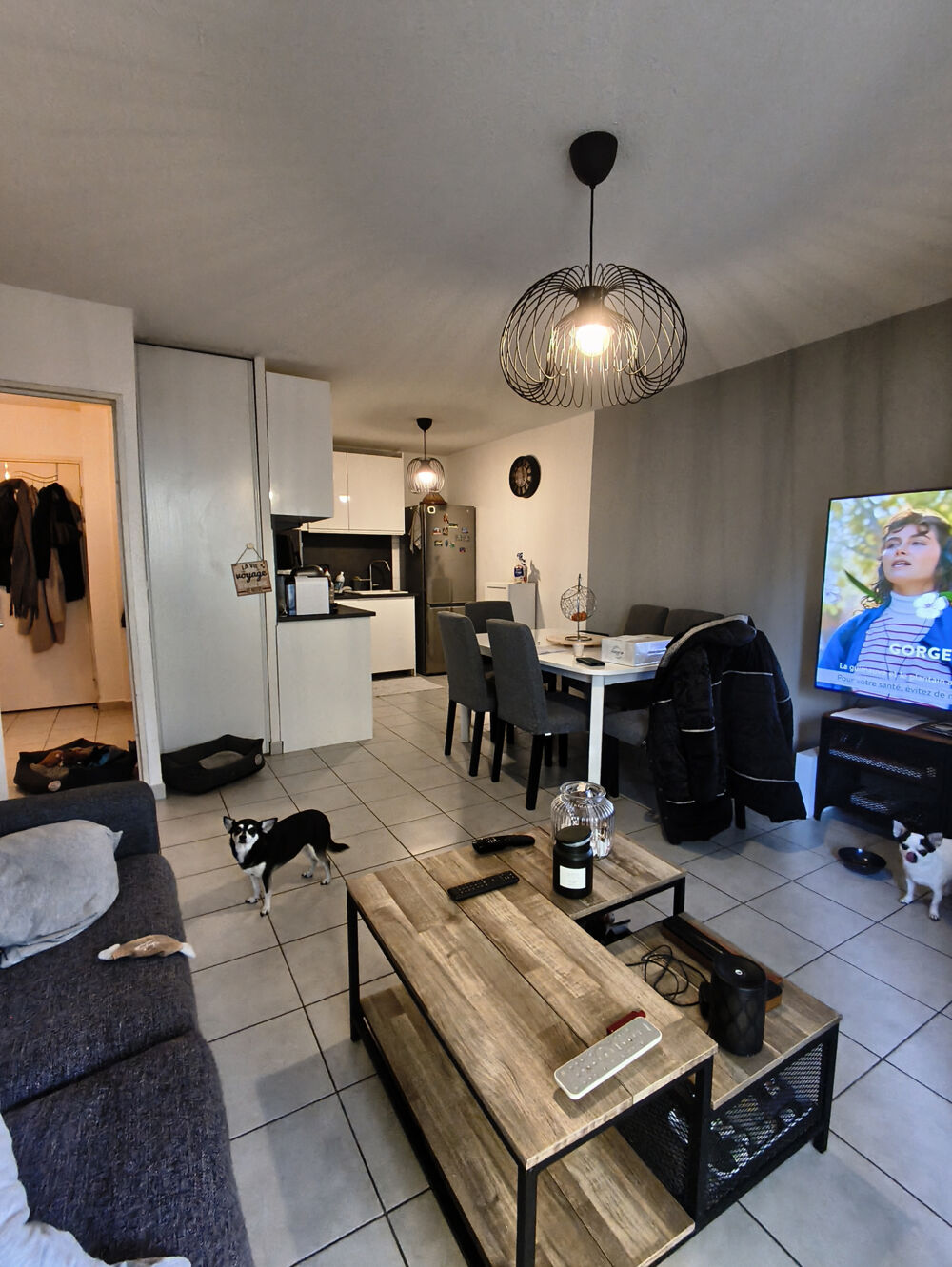 Location Appartement LOCATION T2 RDC MEUBLE CASTELNAU LE LEZ Castelnau-le-lez