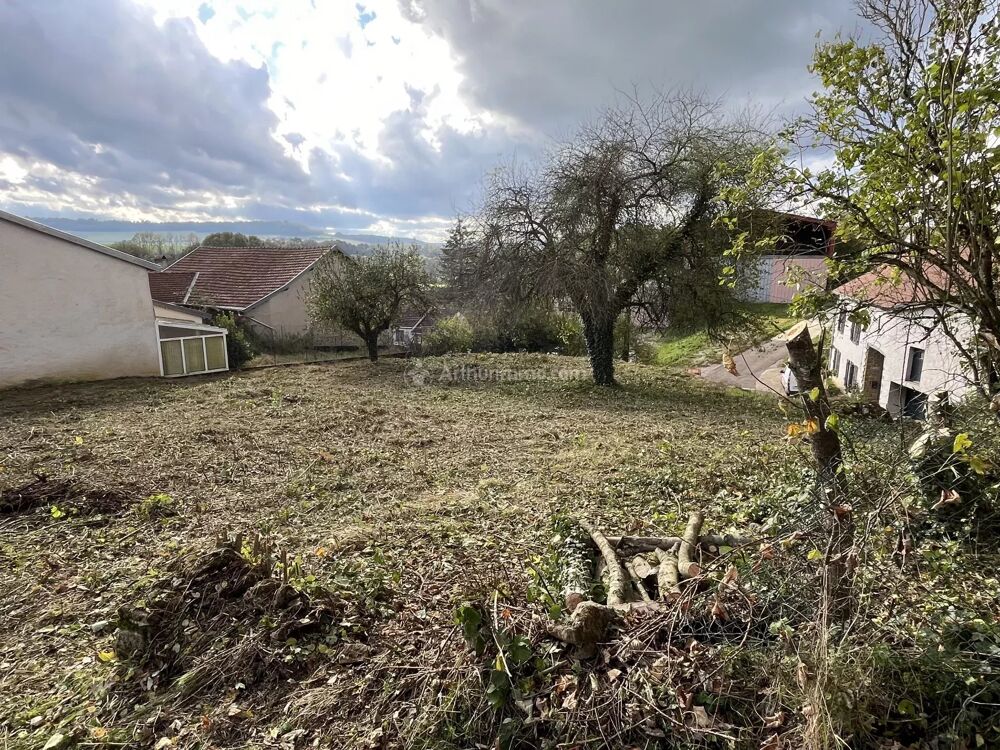 Vente Terrain Terrain constructible proche de Langres Humes-jorquenay