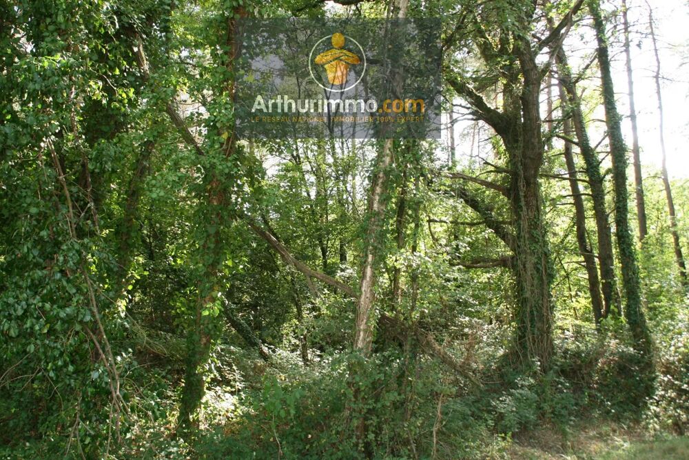 Vente Terrain HELLEAN PARCELLES BOISÉES 9 400 M² Helléan