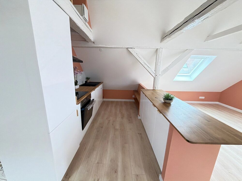 Vente Appartement Robertsau, appartement 3 Pièces de 58.50 m²hab/ 93.65 m² au sol Strasbourg