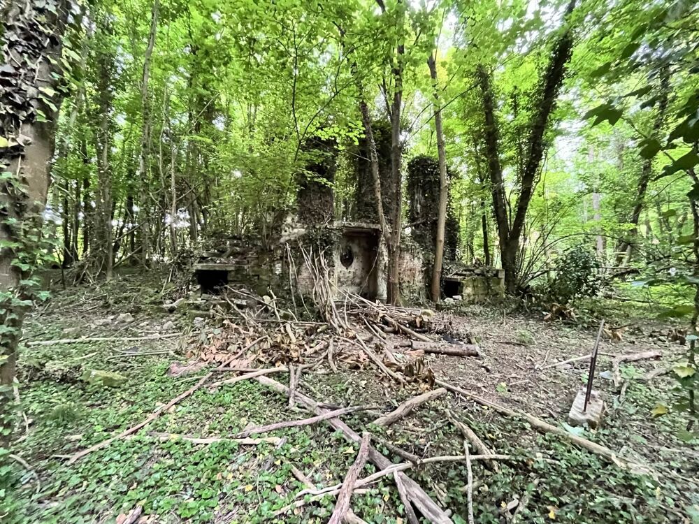 Vente Terrain Terrain 2.6 hectares dont 5595 m² à bâtir. Chevregny
