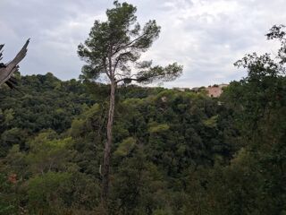  Maison à vendre 2 pièces 41 m² Cagnes-sur-mer