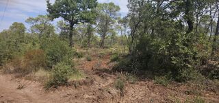  Terrain à vendre 20000 m²