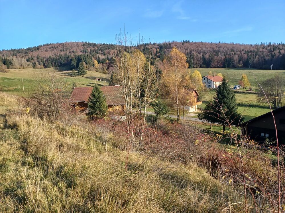 Vente Terrain LONGCHAUMOIS : Parcelles de terrain  à vendre Longchaumois